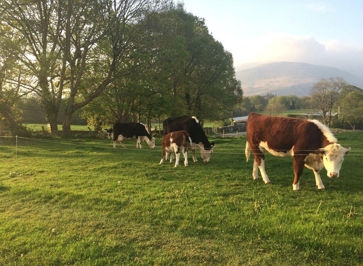 Inveraray Farm Beaufort Exterior foto